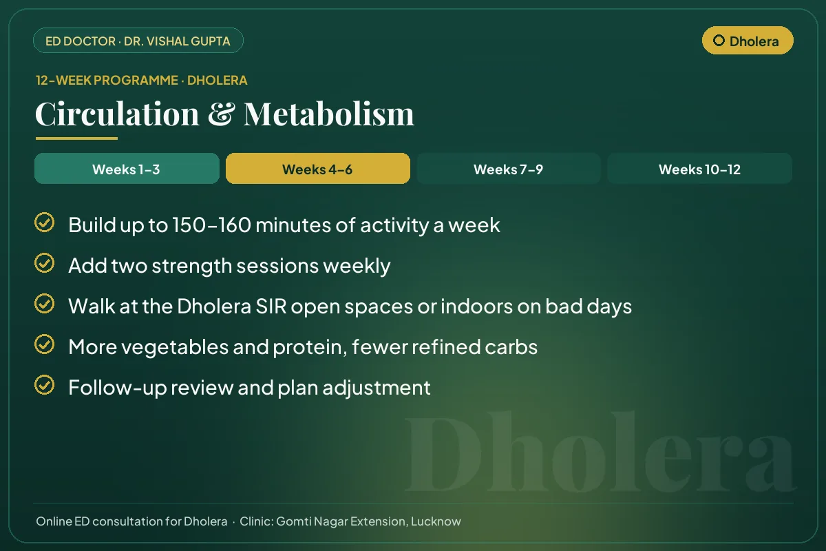 Weeks 4–6 of the 12-week erectile dysfunction programme for Dholera patients: circulation & metabolism