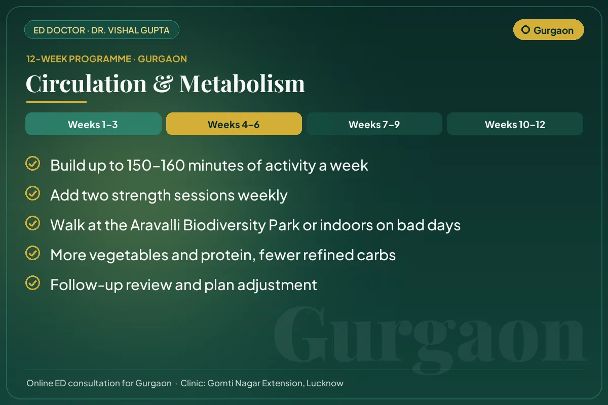 Weeks 4–6 of the 12-week erectile dysfunction programme for Gurgaon patients: circulation & metabolism