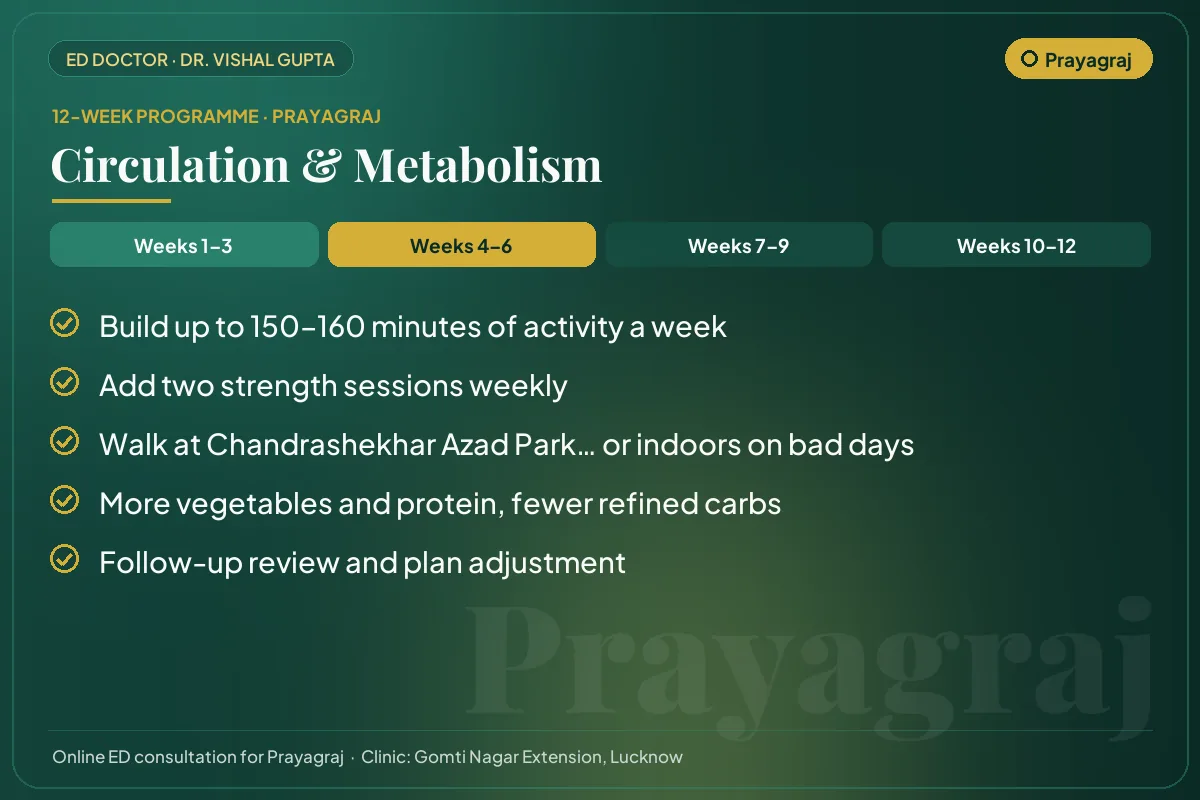 Weeks 4–6 of the 12-week erectile dysfunction programme for Prayagraj patients: circulation & metabolism